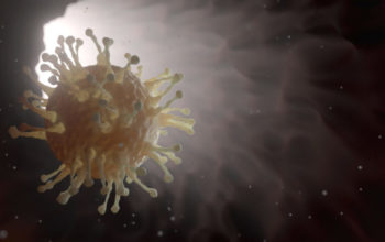 Virus del coronavirus